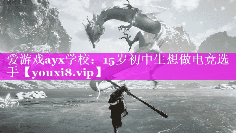 爱游戏ayx学校：15岁初中生想做电竞选手